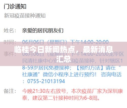 臨桂今日新聞熱點(diǎn)，最新消息匯總