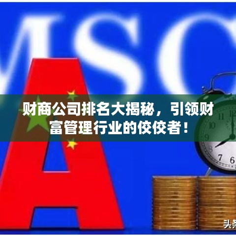 財(cái)商公司排名大揭秘，引領(lǐng)財(cái)富管理行業(yè)的佼佼者！