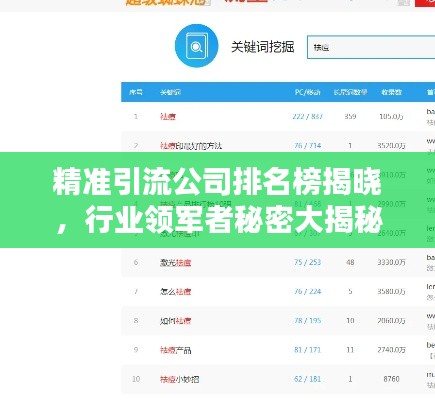 精準(zhǔn)引流公司排名榜揭曉，行業(yè)領(lǐng)軍者秘密大揭秘！