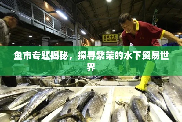 魚(yú)市專題揭秘，探尋繁榮的水下貿(mào)易世界