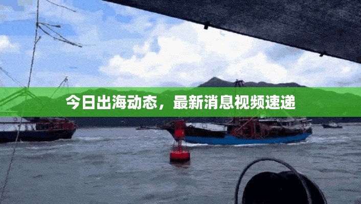 今日出海動(dòng)態(tài)，最新消息視頻速遞
