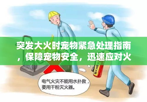 突發(fā)大火時(shí)寵物緊急處理指南，保障寵物安全，迅速應(yīng)對(duì)火災(zāi)！