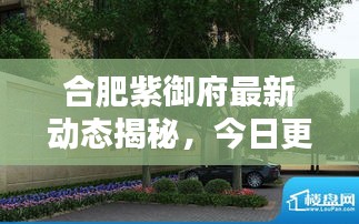 合肥紫御府最新動(dòng)態(tài)揭秘，今日更新消息！