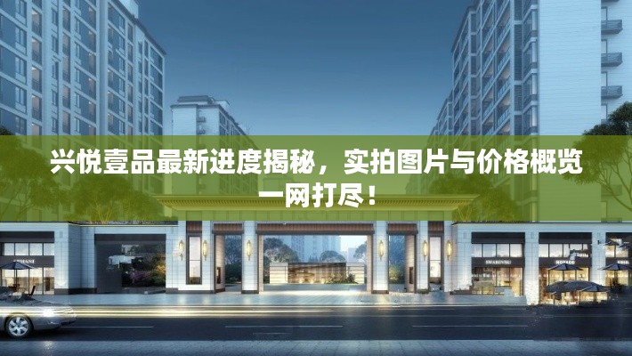 興悅壹品最新進(jìn)度揭秘，實(shí)拍圖片與價(jià)格概覽一網(wǎng)打盡！