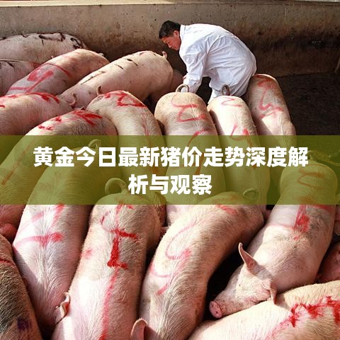 駕輕就熟 第2頁