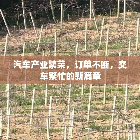 汽車產(chǎn)業(yè)繁榮，訂單不斷，交車繁忙的新篇章
