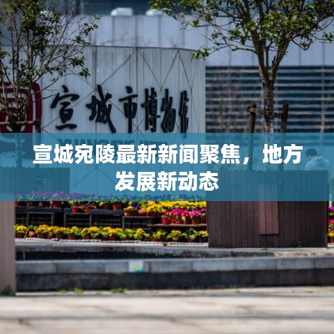 宣城宛陵最新新聞聚焦，地方發(fā)展新動(dòng)態(tài)