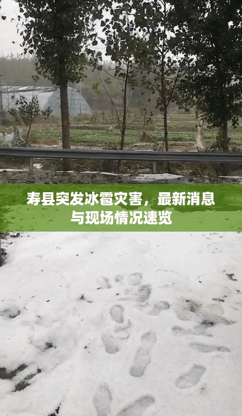 壽縣突發(fā)冰雹災(zāi)害，最新消息與現(xiàn)場(chǎng)情況速覽