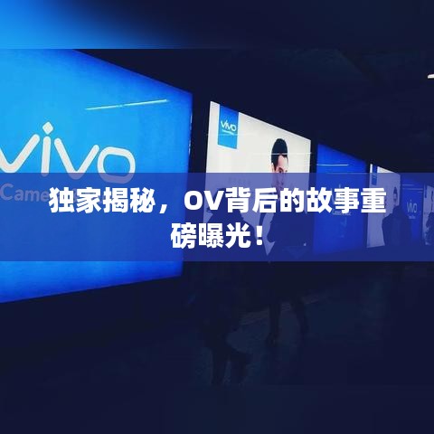 獨(dú)家揭秘，OV背后的故事重磅曝光！