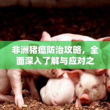 非洲豬瘟防治攻略，全面深入了解與應(yīng)對之道