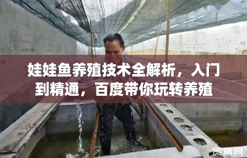 娃娃魚養(yǎng)殖技術(shù)全解析，入門到精通，百度帶你玩轉(zhuǎn)養(yǎng)殖