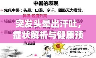 突發(fā)頭暈出汗吐，癥狀解析與健康預警提示