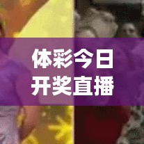 體彩今日開獎直播查詢，最新動態(tài)掌握，透明彩票體驗(yàn)之旅