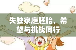 失獨(dú)家庭胚胎，希望與挑戰(zhàn)同行