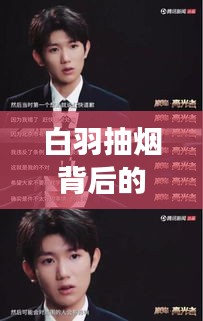 白羽抽煙背后的真相，深度解讀與百度視角觀察