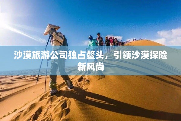 沙漠旅游公司獨(dú)占鰲頭，引領(lǐng)沙漠探險(xiǎn)新風(fēng)尚