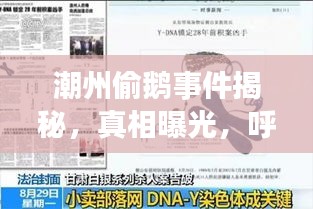 潮州偷鵝事件揭秘，真相曝光，呼吁社會(huì)關(guān)注，視頻全集最新更新