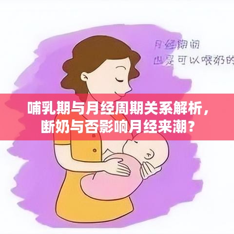 哺乳期與月經(jīng)周期關(guān)系解析，斷奶與否影響月經(jīng)來潮？