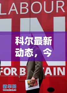 科爾最新動(dòng)態(tài)，今日新聞一覽