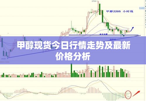 甲醇現(xiàn)貨今日行情走勢(shì)及最新價(jià)格分析
