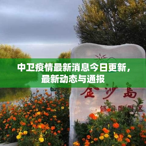 中衛(wèi)疫情最新消息今日更新，最新動(dòng)態(tài)與通報(bào)