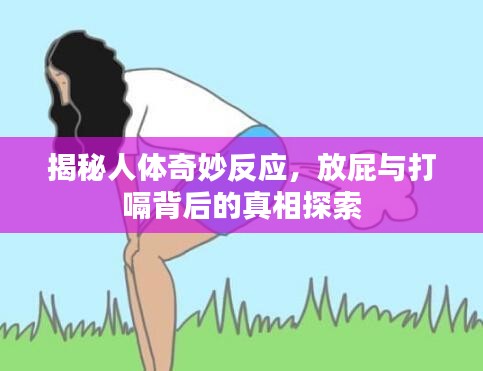 揭秘人體奇妙反應(yīng)，放屁與打嗝背后的真相探索