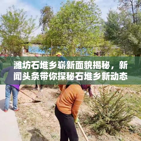 濰坊石堆鄉(xiāng)嶄新面貌揭秘，新聞?lì)^條帶你探秘石堆鄉(xiāng)新動(dòng)態(tài)