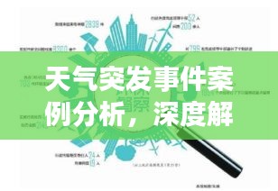 天氣突發(fā)事件案例分析，深度解讀背后的原因與應(yīng)對(duì)策略