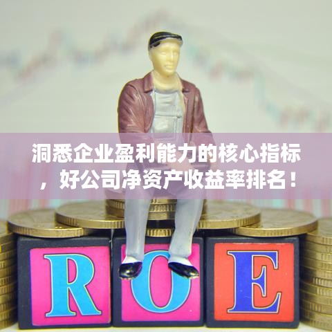 洞悉企業(yè)盈利能力的核心指標(biāo)，好公司凈資產(chǎn)收益率排名！
