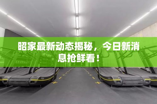 昭家最新動(dòng)態(tài)揭秘，今日新消息搶鮮看！