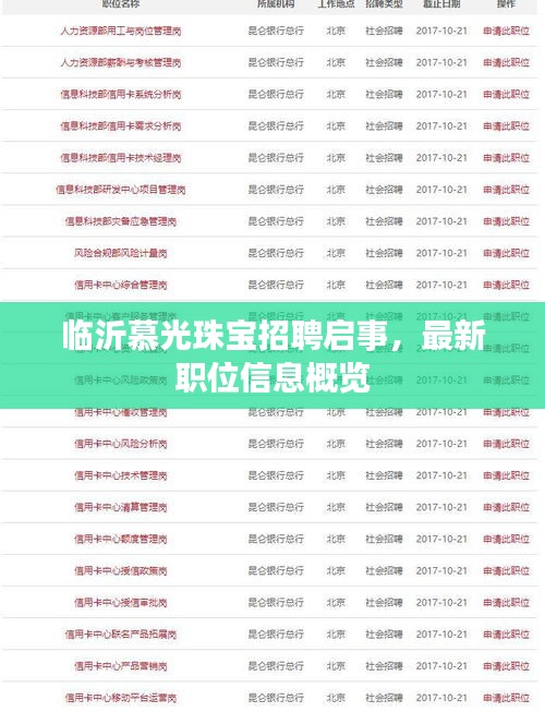 臨沂慕光珠寶招聘啟事，最新職位信息概覽