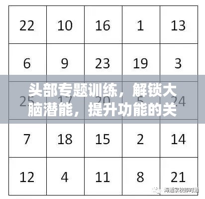 頭部專題訓(xùn)練，解鎖大腦潛能，提升功能的關(guān)鍵路徑