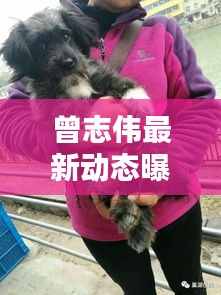 曾志偉最新動(dòng)態(tài)曝光，今日消息一網(wǎng)打盡！
