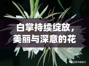 候鳥南飛 第2頁