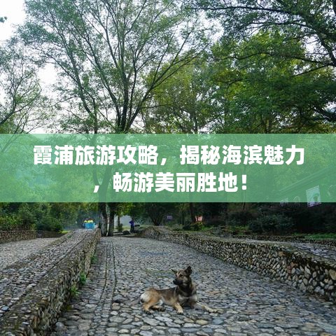 霞浦旅游攻略，揭秘海濱魅力，暢游美麗勝地！