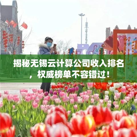 揭秘?zé)o錫云計(jì)算公司收入排名，權(quán)威榜單不容錯(cuò)過(guò)！