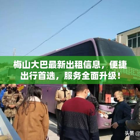 梅山大巴最新出租信息，便捷出行首選，服務(wù)全面升級(jí)！