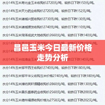 昌邑玉米今日最新價(jià)格走勢分析