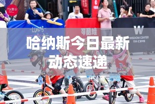 哈納斯今日最新動態(tài)速遞
