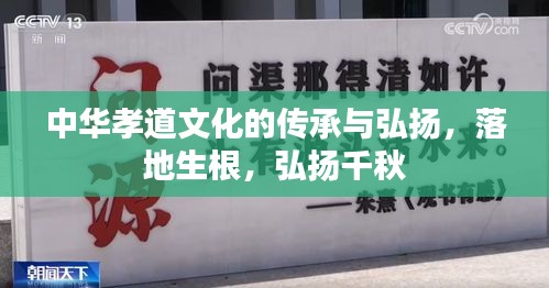 中華孝道文化的傳承與弘揚(yáng)，落地生根，弘揚(yáng)千秋