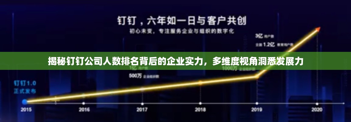 揭秘釘釘公司人數(shù)排名背后的企業(yè)實力，多維度視角洞悉發(fā)展力