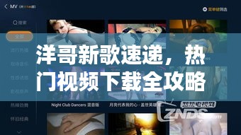 洋哥新歌速遞，熱門視頻下載全攻略
