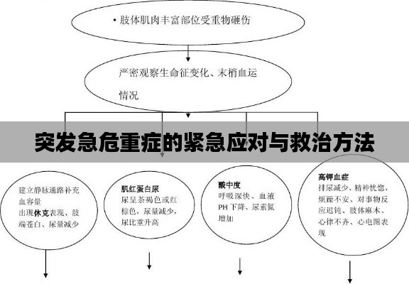 突發(fā)急危重癥的緊急應(yīng)對(duì)與救治方法