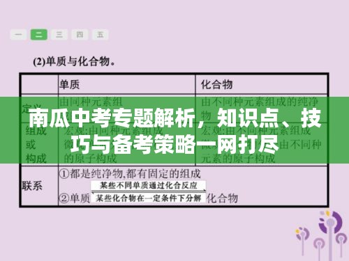南瓜中考專題解析，知識點、技巧與備考策略一網(wǎng)打盡