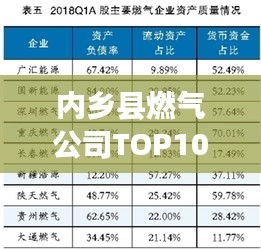 內(nèi)鄉(xiāng)縣燃氣公司TOP10榜單揭曉，行業(yè)佼佼者引領(lǐng)地方能源新篇章