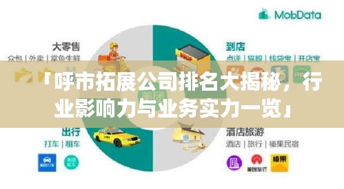 「呼市拓展公司排名大揭秘，行業(yè)影響力與業(yè)務實力一覽」