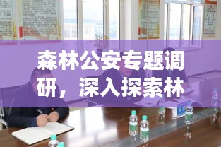 森林公安專題調(diào)研，深入探索林業(yè)安全之道