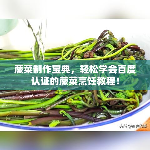 蕨菜制作寶典，輕松學(xué)會(huì)百度認(rèn)證的蕨菜烹飪教程！
