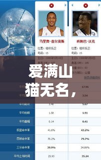 愛滿山貓無名，最新動態(tài)一網(wǎng)打盡
