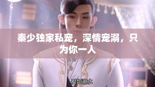 秦少獨(dú)家私寵，深情寵溺，只為你一人